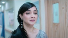 Advocate Anjali Awasthi - 10th November 2024